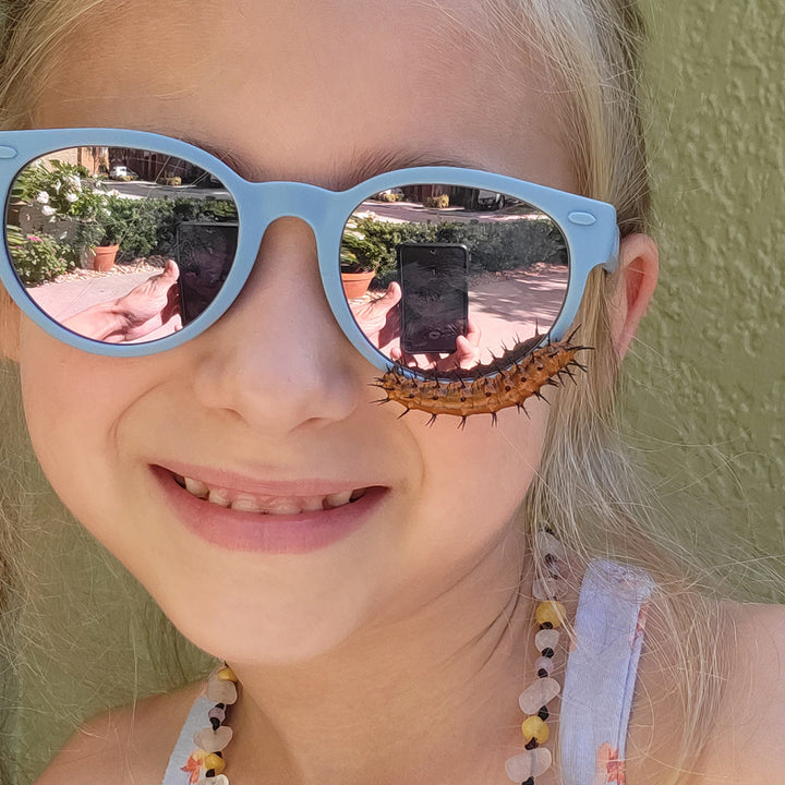 Juego de lentes de repuesto redondas | Oro rosa espejado.