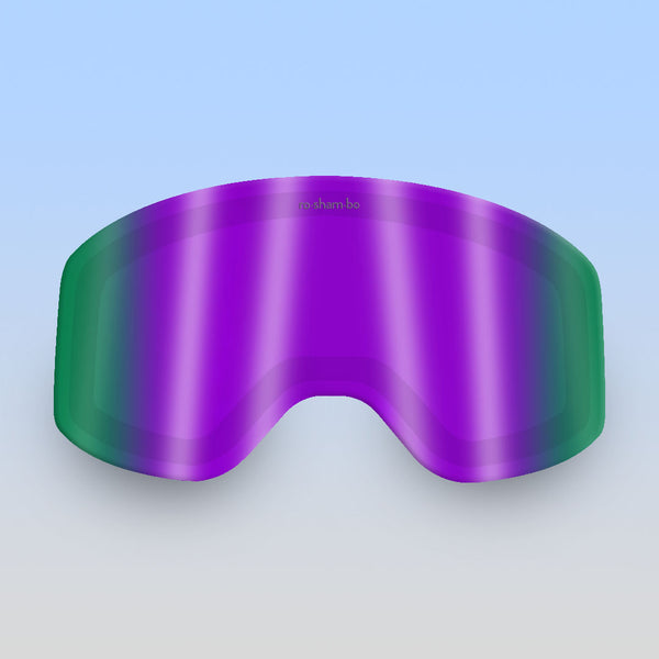 Polarized Snow Goggle Lens Only